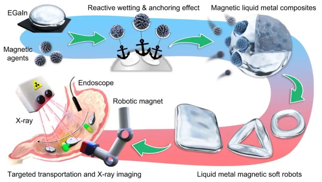 ​《Nature》子刊发表 哈工大公布磁性液态金属研究成果 磁性微型软体机器人获重大突破(图6)