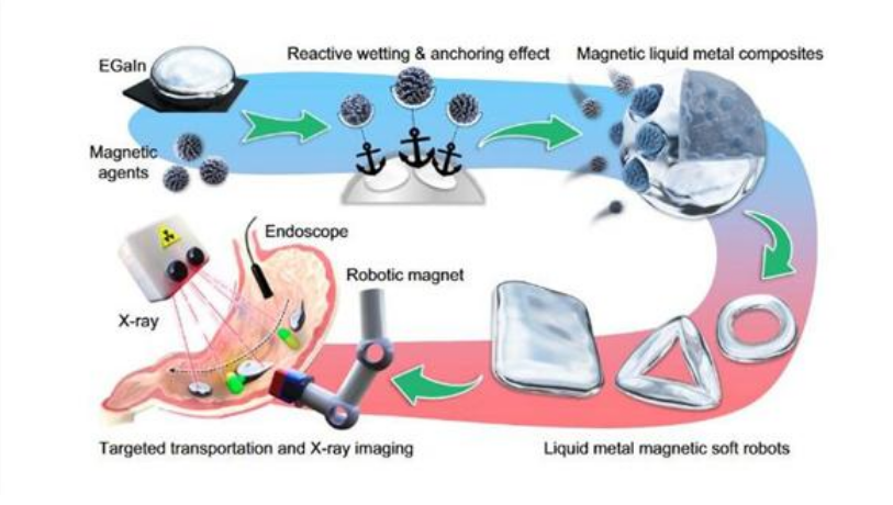 我国开发出液态金属磁性微型软体机器人：可进入人体内部狭窄区域诊疗(图1)
