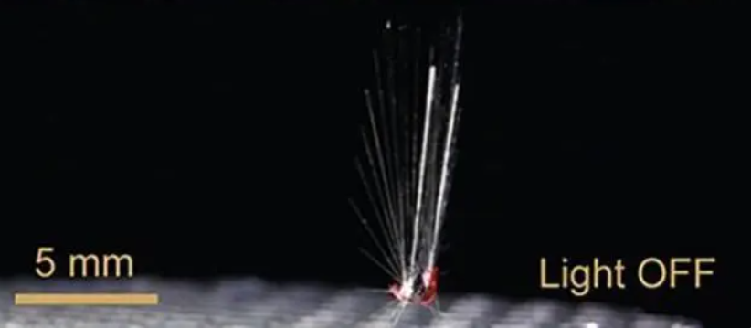 又一农业机器人重大创新，“仙女”机器人借助风和光飞行(图2)