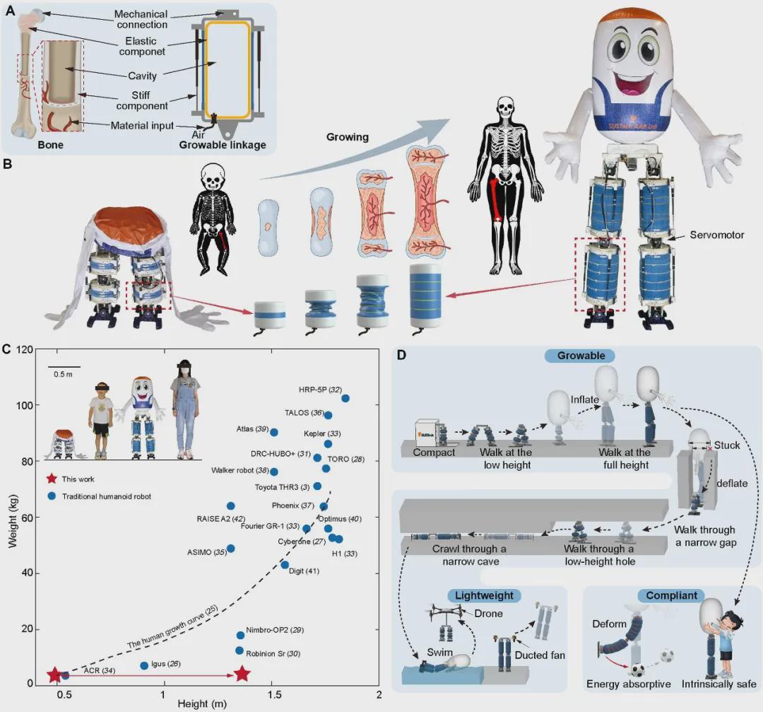 “中国版大白”登Science子刊！可生长，能上天，还会轻功“水上漂”(图9)