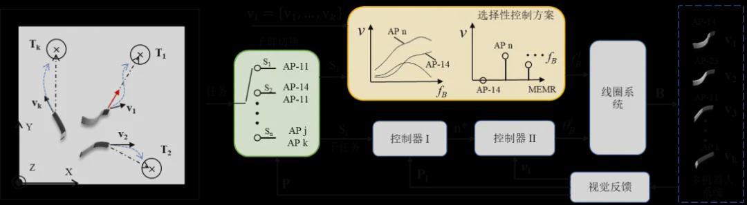 鱼群多样性启发！北理工团队发表Science子刊新作，让微机器人像鱼群一样“各司其职”(图7)