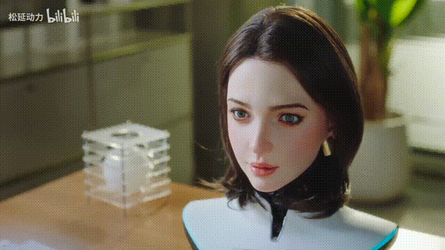 1元起拍，11万成交！春晚蔡明“姊妹”机器人首拍，京东要成为具身智能“水电煤”(图5)