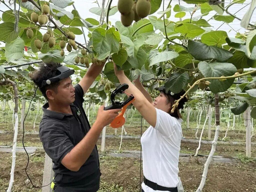 10万人、1000万小时！京东宿迁打造国内最大规模具身智能数据基地！(图7)