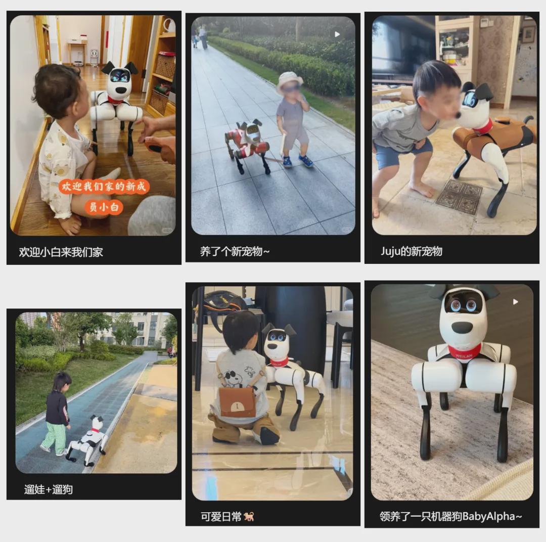 “张雪机车”式突围，正在具身智能赛道上演(图17)